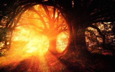 The magic of finding your true self on a tumultuous path